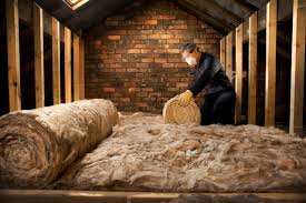 Best Crawl Space Insulation  in Carrollton, AL